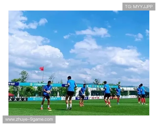 绿黄激情之城:探秘南特球迷文化的独特魅力与精神传承